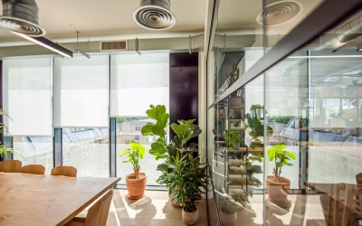 Eco-Friendly Blinds for Sustainable Commercial Buildings